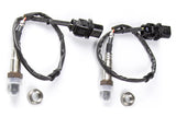Haltech WB2 - Dual Channel CAN Wideband