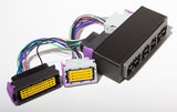 ECUMaster Toyota JZZ30 1JZGTE PnP adapter for EMU Black