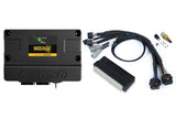 Haltech Nexus S3 Plug 'n' Play Adapter Harness Kit - Honda EP3