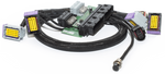 ECUMaster Mini R53 PnP adapter for EMU Classic
